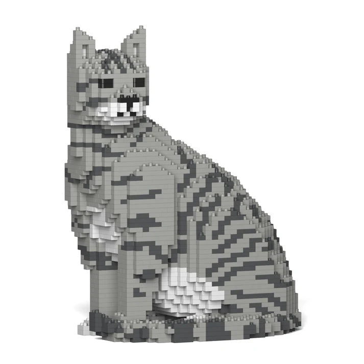 Light Grey Tabby Cat 02S-M03