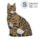 Brown Tabby Cat 02S-M04