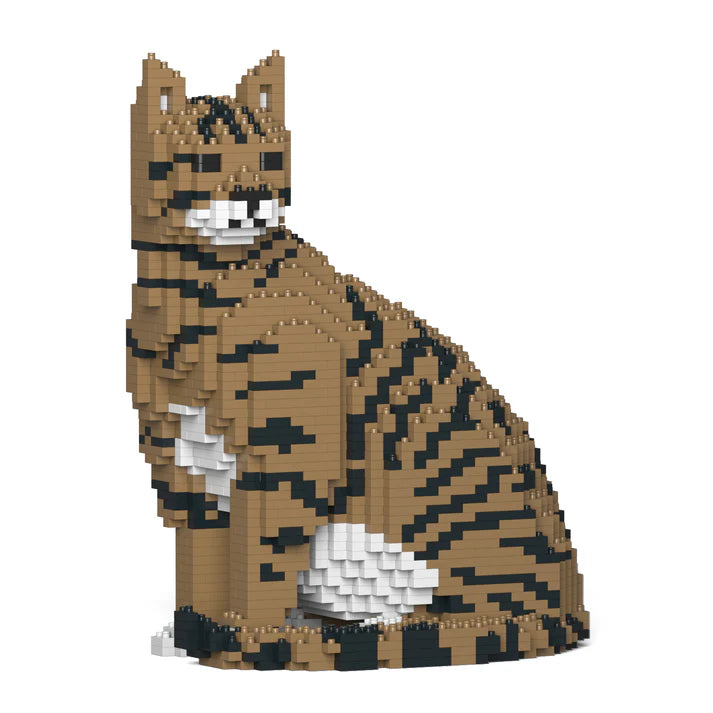 Brown Tabby Cat 02S-M04