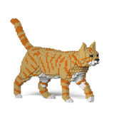 Orange Tabby Cat 03S-M01