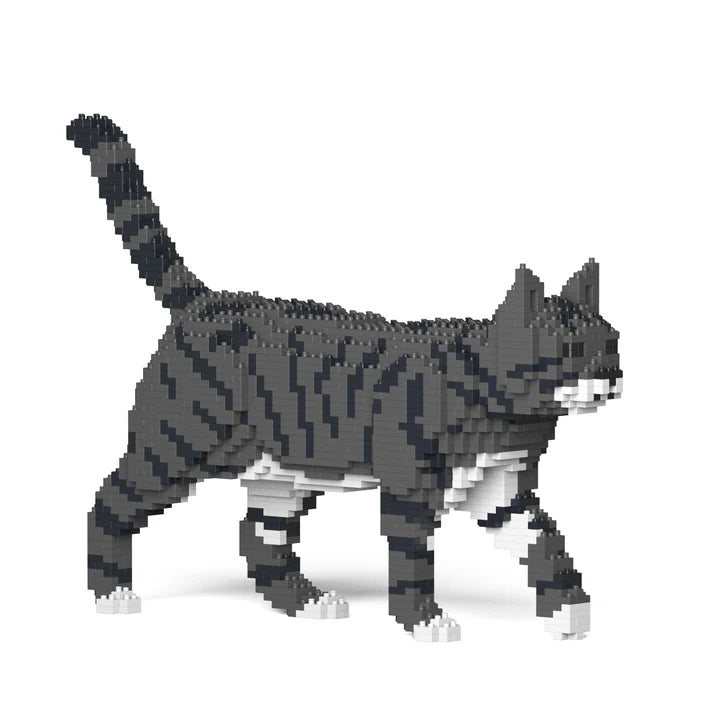 Dark Grey Tabby Cat 03S-M02