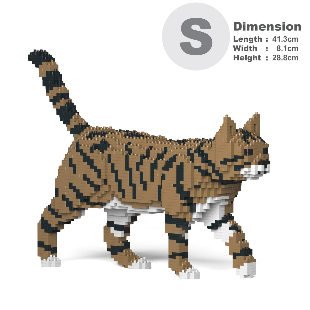 Brown Tabby Cat 03S-M04