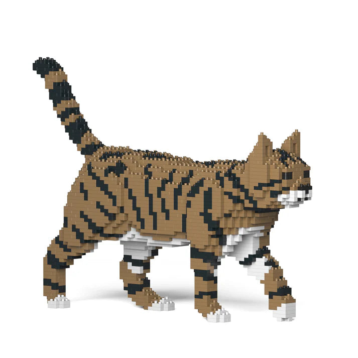 Brown Tabby Cat 03S-M04