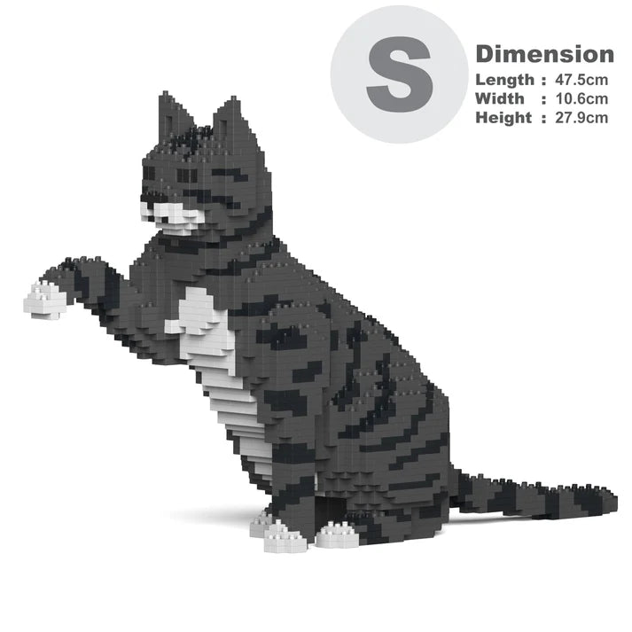 Dark Grey Tabby Cat 04S-M02