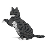 Dark Grey Tabby Cat 04S-M02