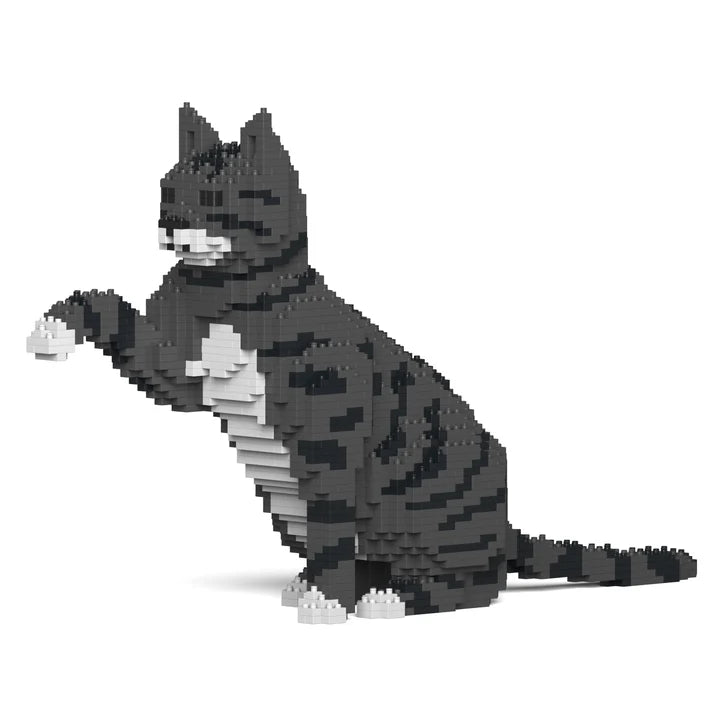 Dark Grey Tabby Cat 05S-M02