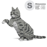 Light Grey Tabby Cat 04S-M03