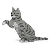 Light Grey Tabby Cat 04S-M03