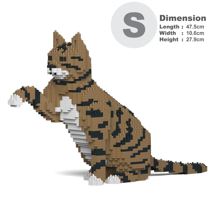 Brown Tabby Cat 04S-M04