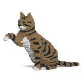 Brown Tabby Cat 04S-M04