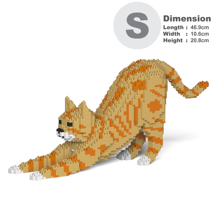 Orange Tabby Cat 05S-M01