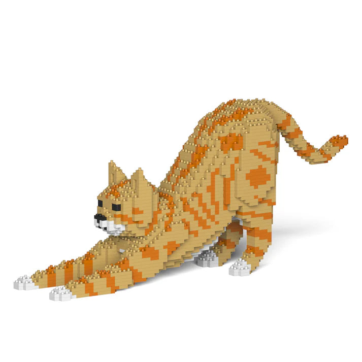 Orange Tabby Cat 05S-M01