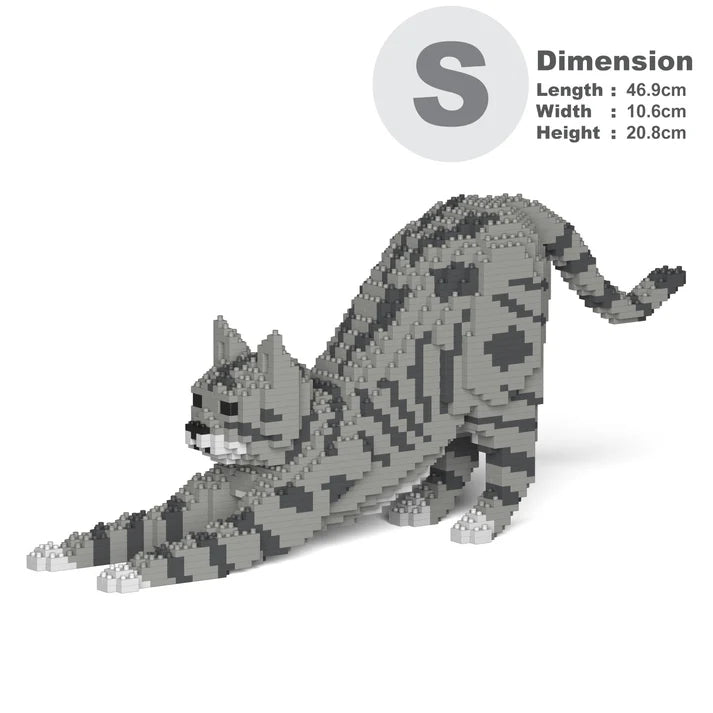 Light Grey Tabby Cat 05S-M03