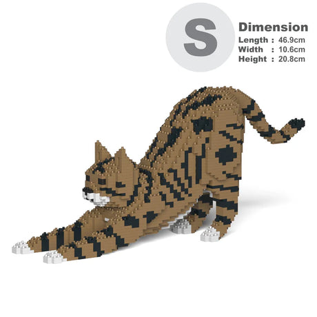 Brown Tabby Cat 05S-M04