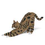 Brown Tabby Cat 05S-M04