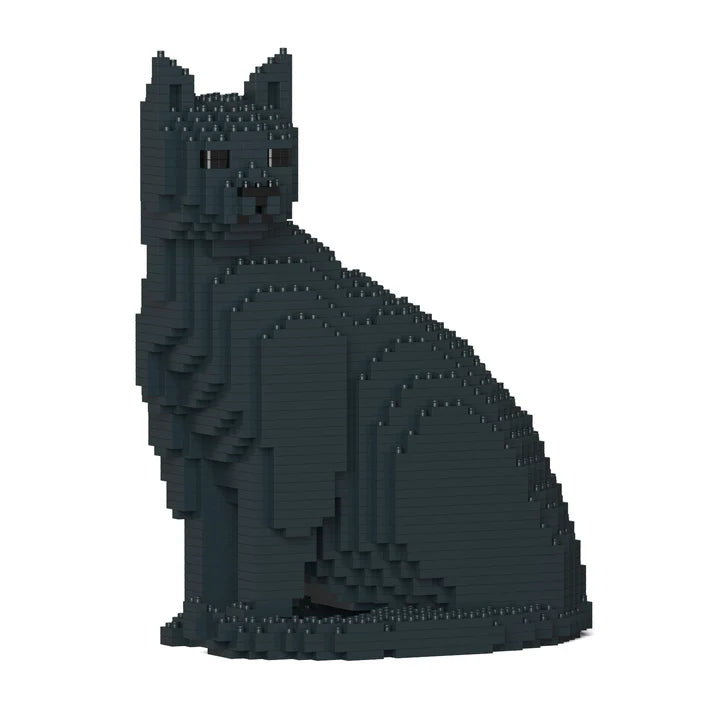 Black Cat 06S-M02