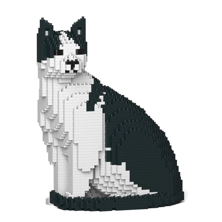 Black & White Cat 10S-M02