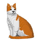 Gato naranja y blanco 10S-M03 