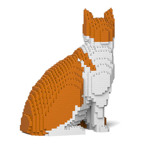 Gato naranja y blanco 10S-M03 