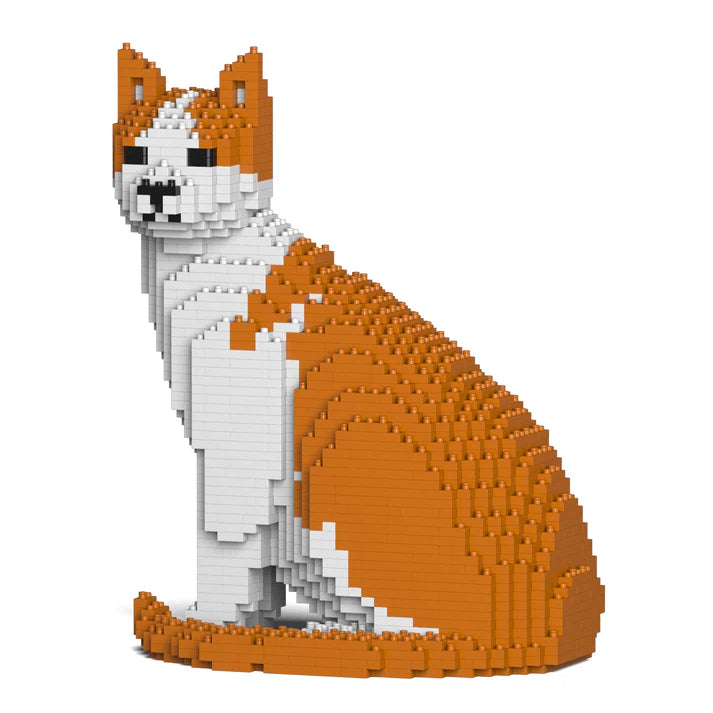 Orange-weiße Katze 10S-M03 