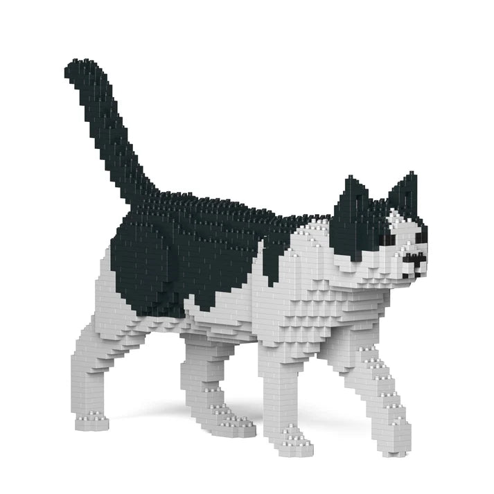 Schwarz-Weiß-Katze 11S-M02 