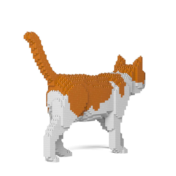 Orange-weiße Katze 11S-M03 