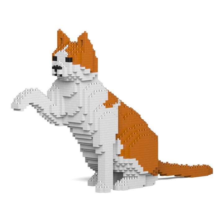 Orange-weiße Katze 12S-M03 