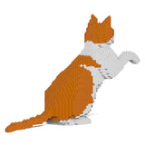 Gato naranja y blanco 12S-M03 