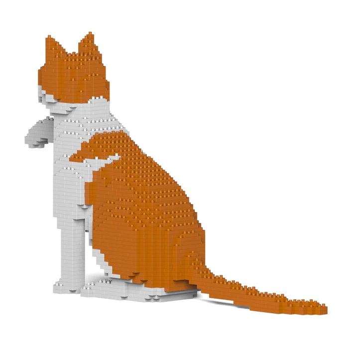 Orange-weiße Katze 12S-M03 