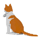 Orange & White Cat 12S-M03