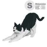 Black & White Cat 13S-M02