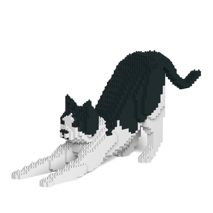 Black & White Cat 13S-M02