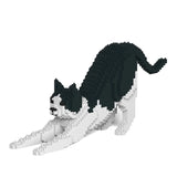 Schwarz-Weiß-Katze 13S-M02 