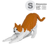 Orange & White Cat 13S-M03