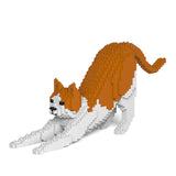 Orange & White Cat 13S-M03