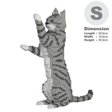 Light Grey Tabby Cat 14S-M03