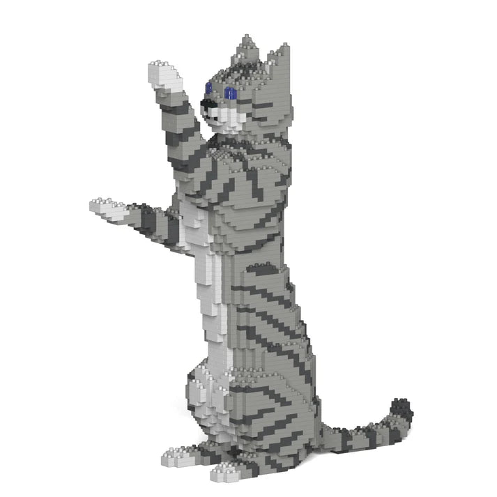 Light Grey Tabby Cat 14S-M03