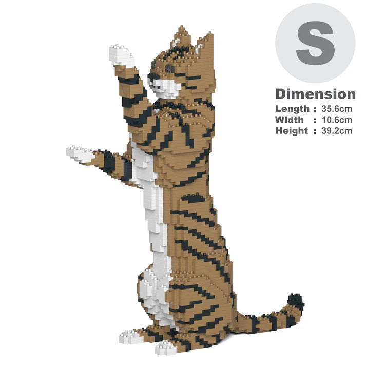 Brown Tabby Cat 14S-M04