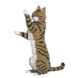 Brown Tabby Cat 14S-M04