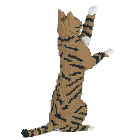 Brown Tabby Cat 14S-M04