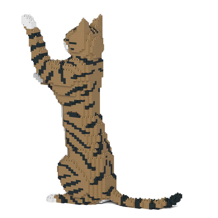 Brown Tabby Cat 14S-M04