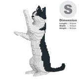 Black & White Cat 17S-M01