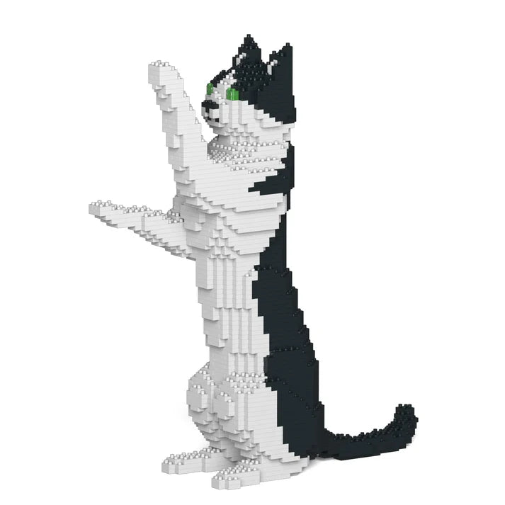 Black & White Cat 17S-M01