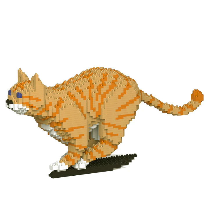 Orange Tabby Cat 18S-M01