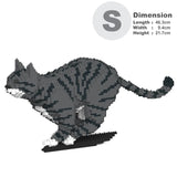 Dark Grey Tabby Cat 18S-M02