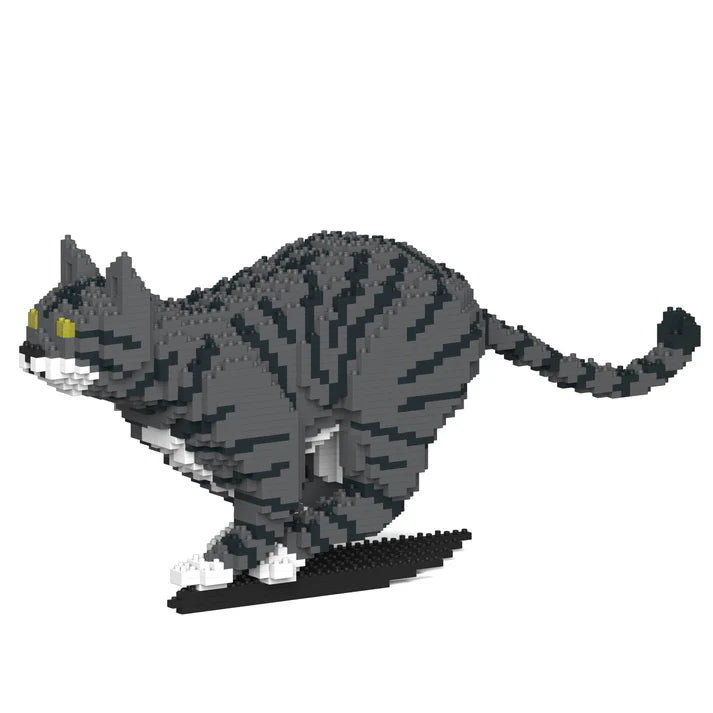 Dark Grey Tabby Cat 18S-M02