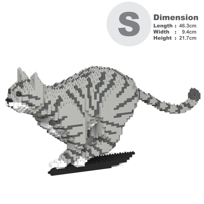 Light Grey Tabby Cat 18S-M03