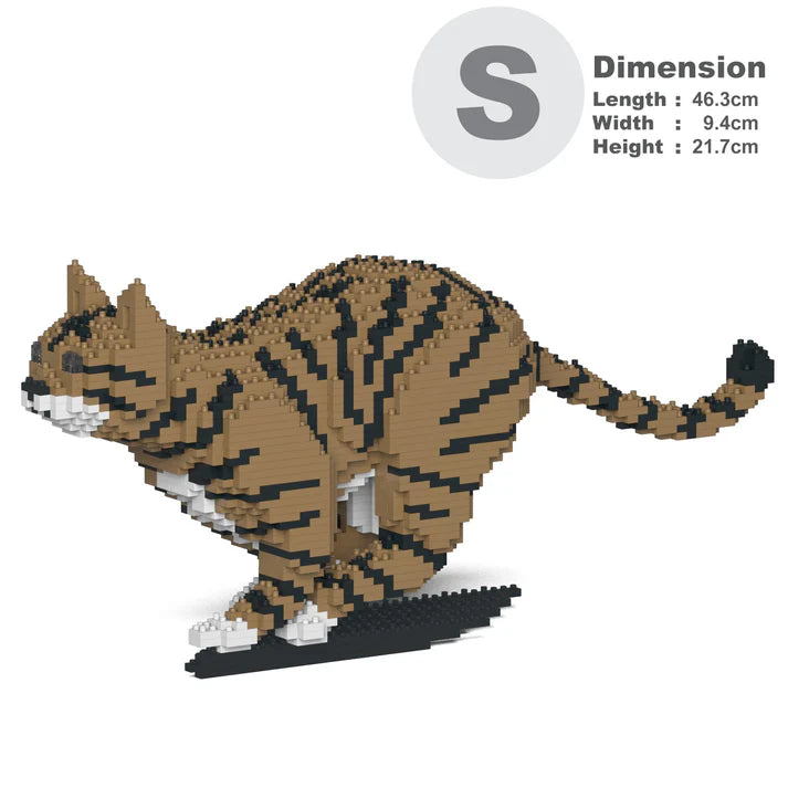 Brown Tabby Cat 18S-M04