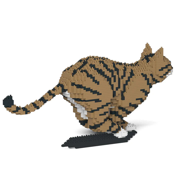 Brown Tabby Cat 18S-M04