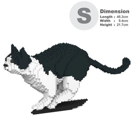 Black & White Cat 21S-M01